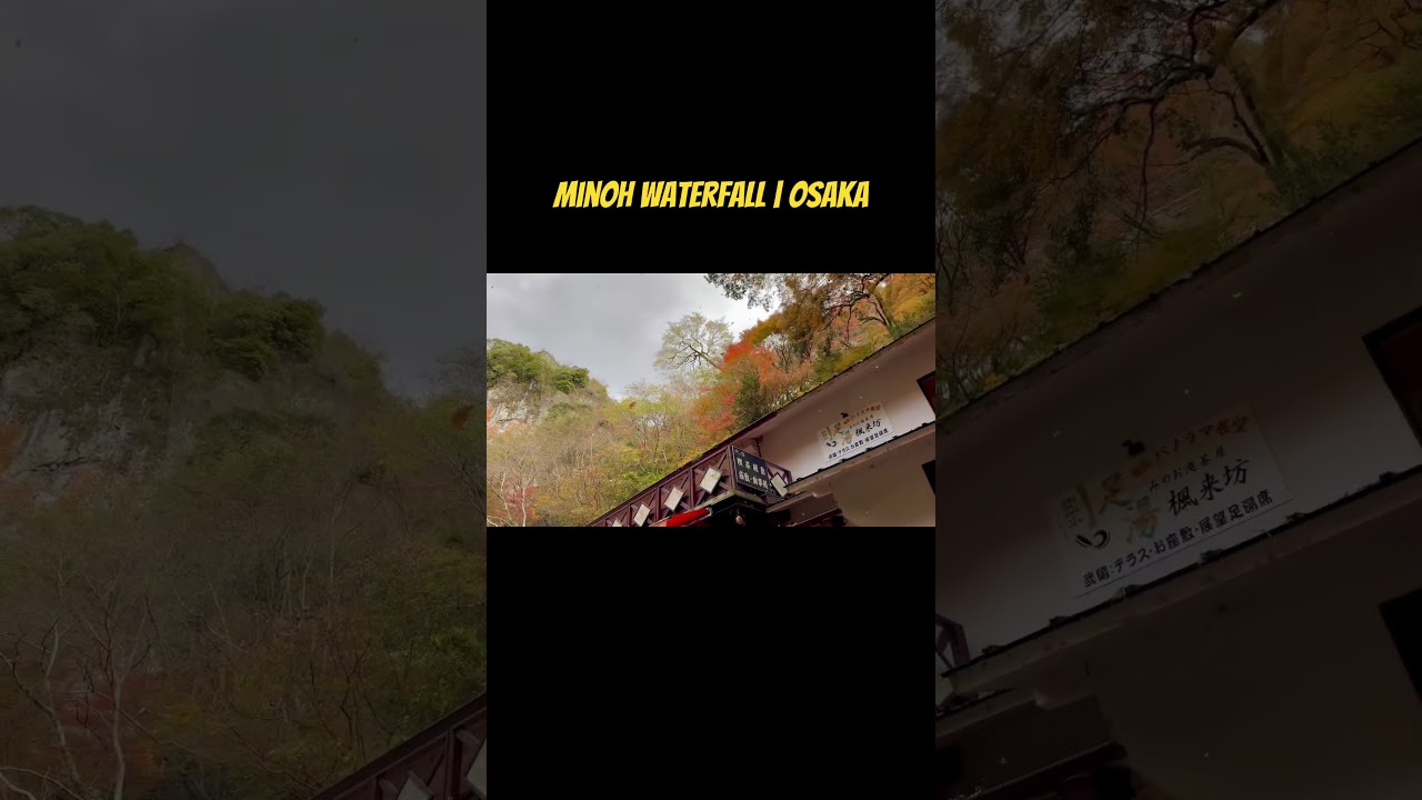 Beautiful Minoh Waterfall in autumn season 🍁 