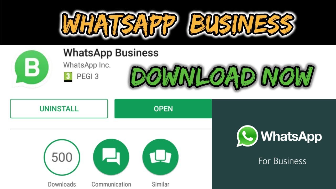 download whatsapp business for android download whatsapp business for android