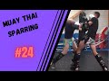 Muay thai sparring24muaythai sparring training kickboxing fight zen boxing boxer