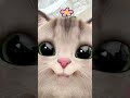 mere sath hi esa kyu hota h🫣#cutekitty#catvideos#viralvideo#trendingreels#funny#selfobessed#selflove