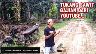 Gak Nyangka Saya Dapat Gaji Ratusan Juta Dari Youtube Padahal Cuma Konten Panen Sawit