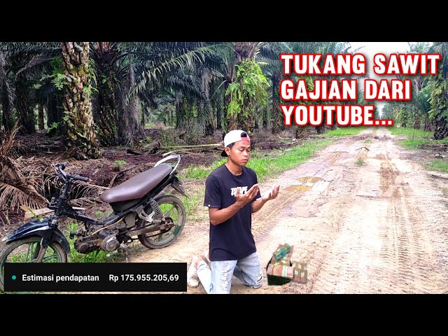 Gak Nyangka Saya Dapat Gaji Ratusan Juta Dari YouTube Padahal Cuma Konten Panen Sawit class=