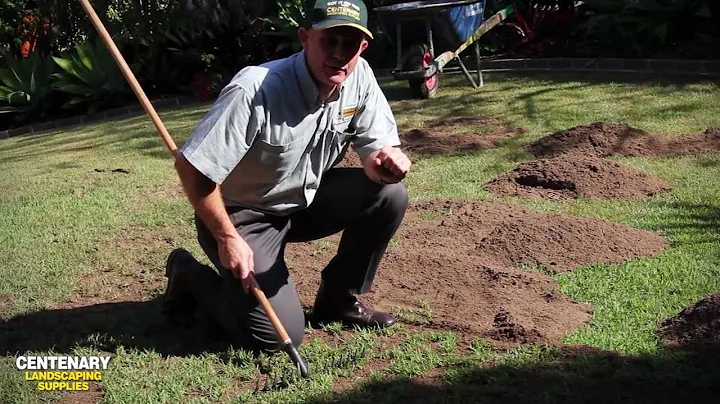 Top Dressing and Top Soiling your Lawn