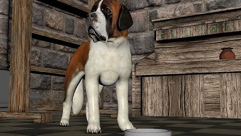 Realistic quadruped Animation for a puzzle game