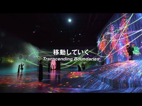 teamLab Borderless, Transcending Boundaries - Crows / チームラボボーダレス、移動していく