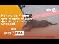Menino de 4 anos morre após ataque de cachorro em Chapecó | Segurança | SCC Meio-Dia