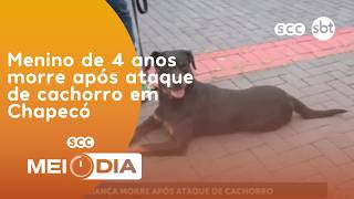 Menino de 4 anos morre após ataque de cachorro em Chapecó | Segurança | SCC Meio-Dia