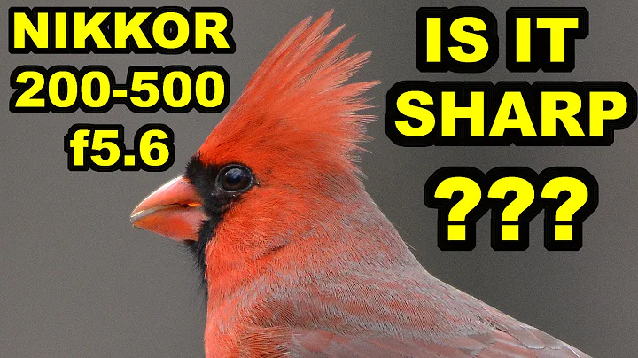 Nikkor 200-500mm f5.6 - IS IT SHARP?