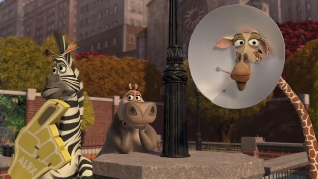 Мелман фото. Герои мадагаскара мелман. Мелман и умиральная яма. Мелман фото. Мадагаскар жираф мелман.