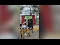 🐶🏍️ Perrito acompaña feliz a motociclista repartidor en su trabajo ❤️