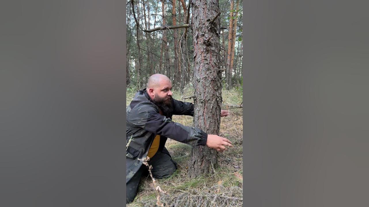 пила струна выживалово