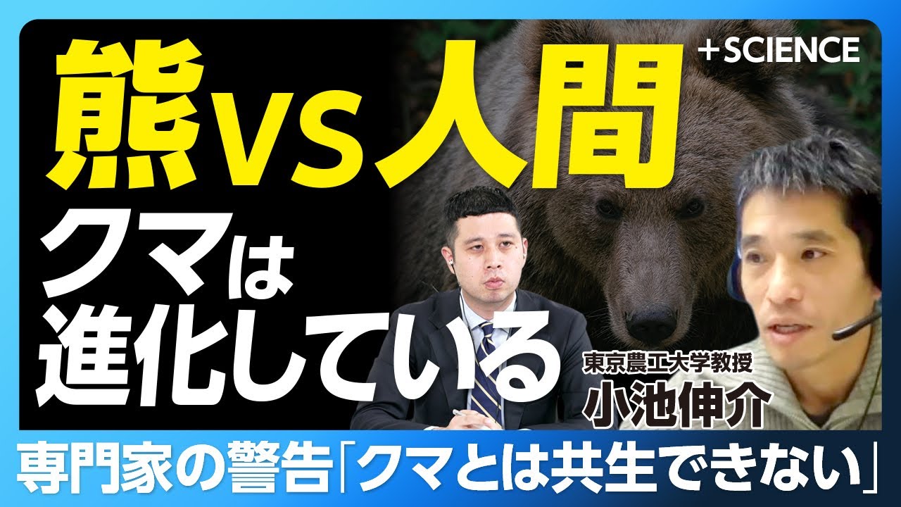 【熊と人間“共生不可能”という現実】市街地に出没する熊…なぜ人里に｜原因のひとつは「ドングリの不作」｜行政にはプロが足りない｜過疎化…都市集中…緩衝地帯の減少【東京農工大学・小池伸介教授】