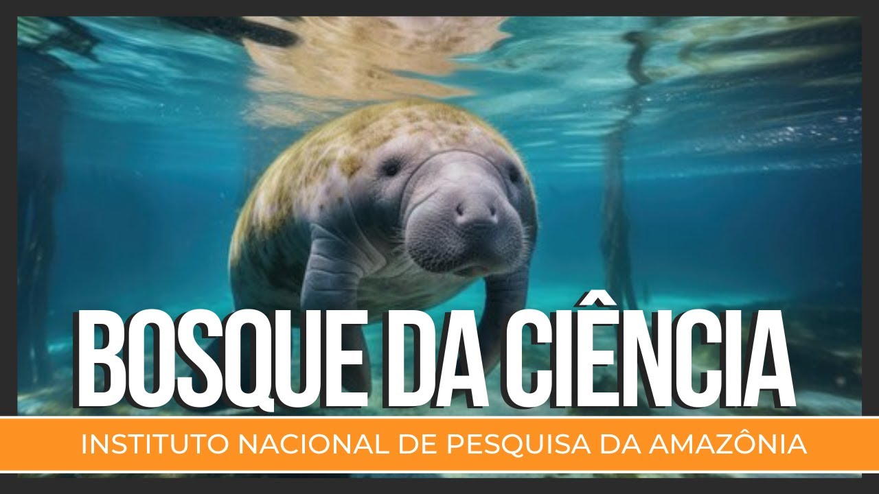 COMO É O BOSQUE DE CIÊNCIA - INPA - O QUE FAZER NO AMAZONAS ( PARTE 16/18 )