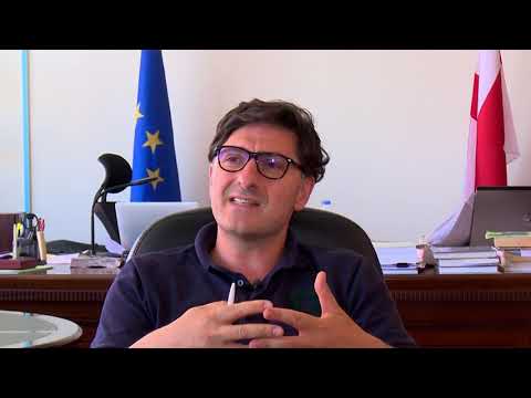 zoom მასწავლებელთა კვალიფიკაცია