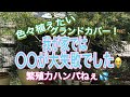 【ガーデニング】【グランドカバー】【これは植えてはダメ！】色々植えて楽しんでます！が！植えてはいけないグランドカバーあるんです
