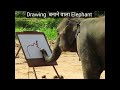 Painting   elephantthe painting elephanttalented elephant