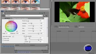 How To Make A Sin City Effect In Sony Vegas Pro 9