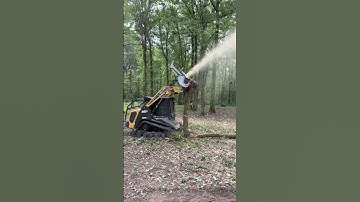 #forestry #mulching #mulch #landclearing #asv #120 #deniscimaf #land #clearing #fun #fyp #foryou