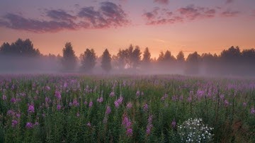 وَمَا يَأْتِيهِم مِّن رَّسُولٍ إِلَّا كَانُوا بِهِ يَسْتَهْزِئُونَ | تلاوة هادئة