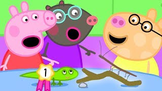 The Pet Competition at Peppa's Playgroup | Peppa Pig Official Family Kids Cartoon