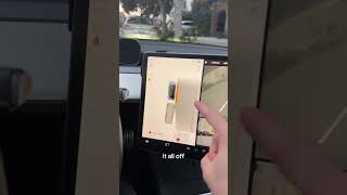 When Was the Last Time I Curbed My Tesla Wheels? | @actuallycarterpcs