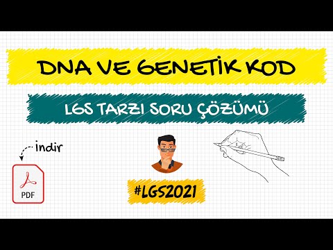 DNA ve Genetik Kod / LGS Tarzı Yeni Nesil Soru Çözümü + PDF