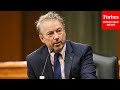 Rand Paul grills witness on SBA funds going to Planned Parenthood