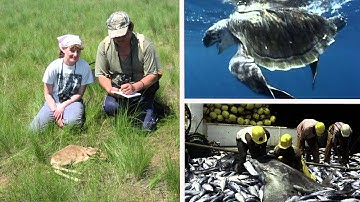 Let’s Say Goodbye to Bycatch: E.J. Milner-Gullan Named 2015 Pew Marine Fellow