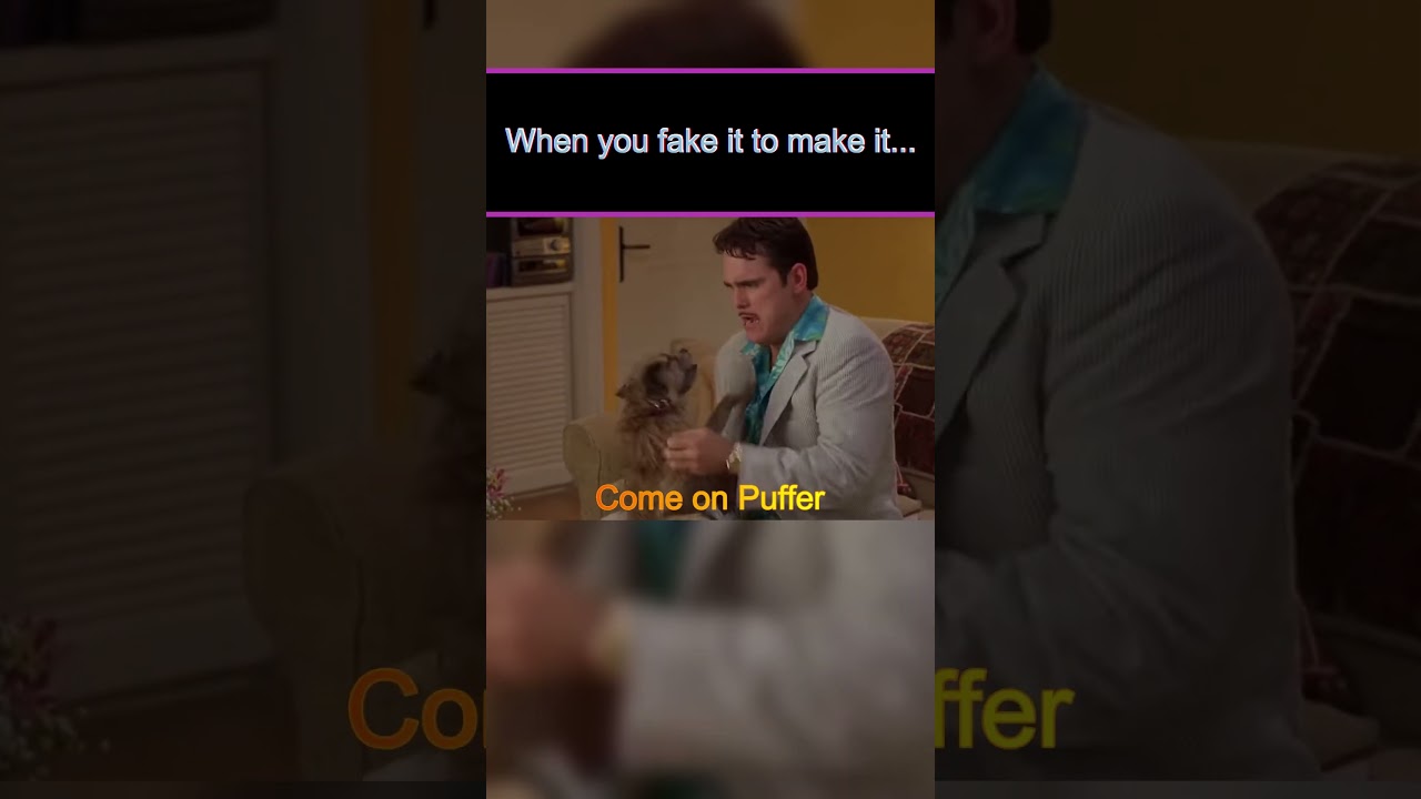 When Puffer the dog see's the light  #nostalgia
