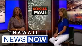 Kokua Maui: Hawaiian Telcom
