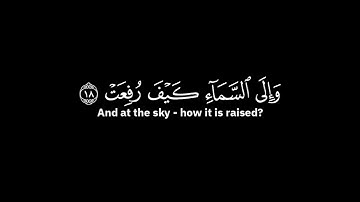 افلا ينظرون الى الابل كيف خلقت | بدر التركي - من الآية 17 إلى الآية 22 من سورة الغاشية (شاشة سوداء)