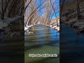 Sajna ke sajde mein #Reels #Nature #Sajna #Cinematic #ViralVideo #FacebookReels