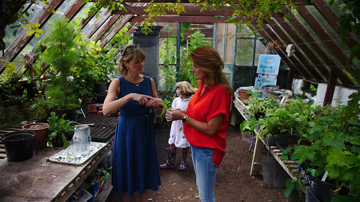 Botanical drinks in the Greenhouse at  Glin Castle...