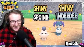AUDINO DI GALAR(scherzo)- SPOINK-INDEEDEE SHINY REACTION - Pokémon Shiny Living Dex [346-347]