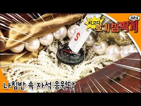 Why - 최고다! 호기심딱지 시즌4 - 나침반 속 자석 응원단_#001