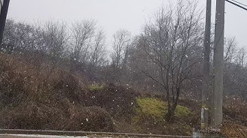 Cuộc sống ở hàn quốc: tuyết rơi đầu mùa đông (첫눈 오는날)