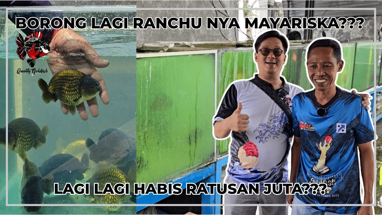 BORONG LAGI RANCHU NYA MAYARISKA??? LAGI LAGI HABIS RATUSAN JUTA???