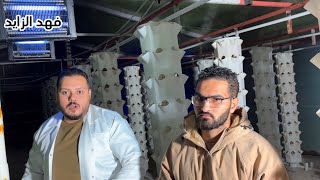 طريقة تركيب الأنظمة العمودية الرأسية بالزراعة المائية