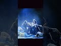 [Bill Viola]