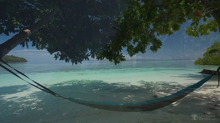 4K HDR Tropical Beach   Gentle Ocean Wave Sounds   Peaceful Wild Island   Relaxing Nature Video