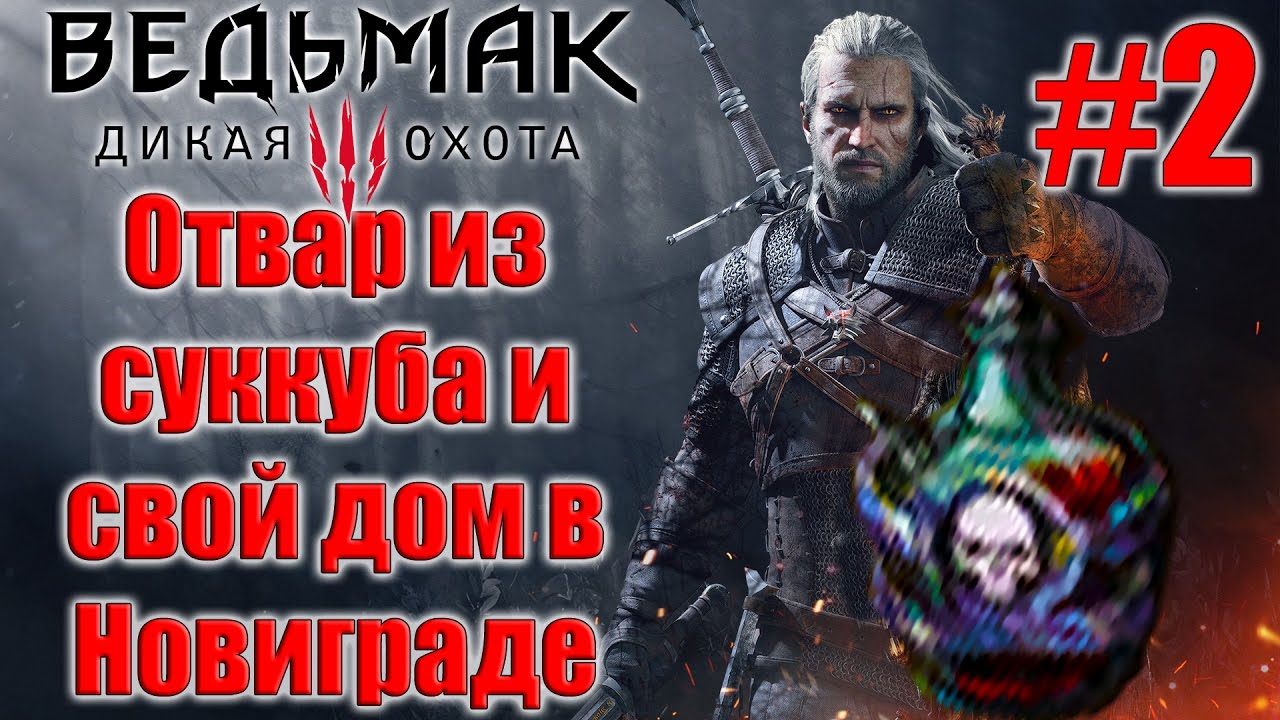 Приложение суккуба хендай
