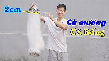 Lưới Bén Đánh Cá Mương, Cá Bống Mắt Then 1(2cm) - Chì Nặng 2kg Đánh Nước Chảy Xiết