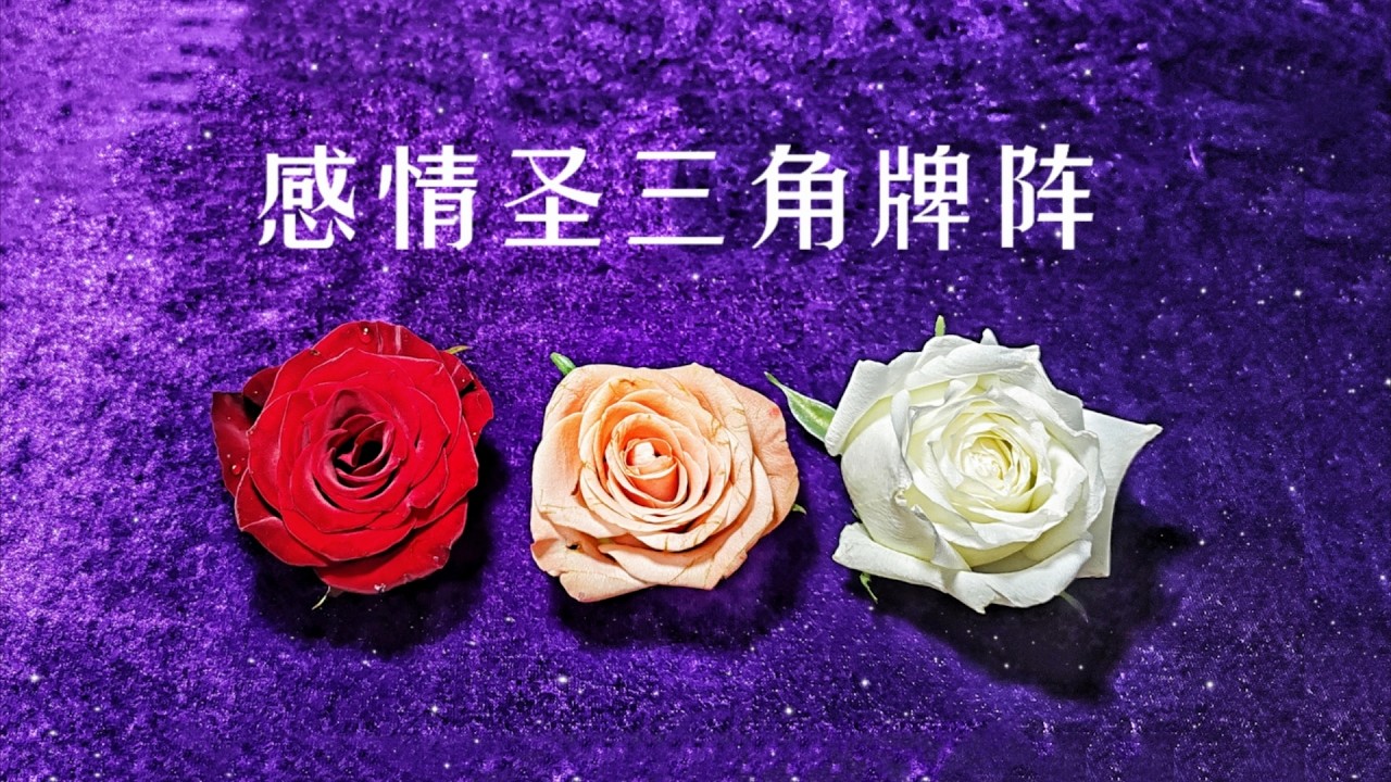 【徒步者塔羅】你的想法／對方的想法／未來發展趨勢