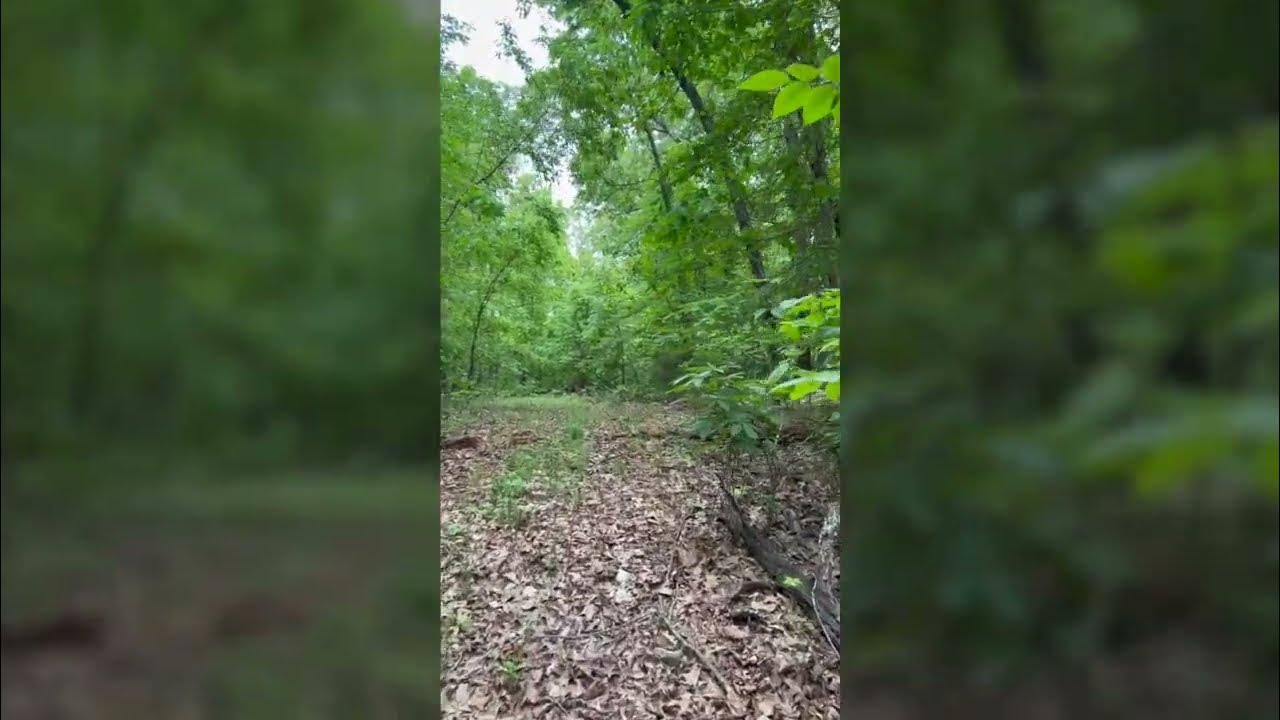 8-951-sq-feet-in-highland-ar-close-to-lake-on-summit-dr-youtube