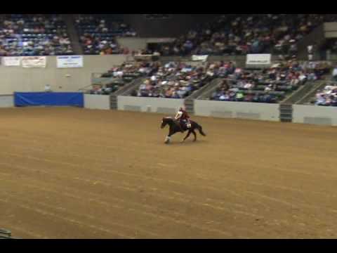 Pica Peppy Doc - Freestyle Reining - Dixie Nationa...