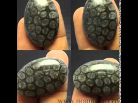 batu akik teratai hitam langka batu akik teratai hitam langka