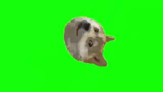 MLG Green Screen Doge dog Собака Футаж