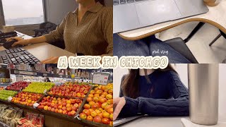?? 시카고 Vlog | 본업()으로 돌아온 미국 박사과정 유학생 봄학기 개강 첫 주 어찌저찌 먹고 사는 브이로그