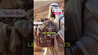 Résumé De La Paracha Matot