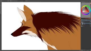 Maned wolf timelapse